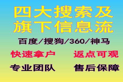 SEM推广策略：成功案例解析与效果评估